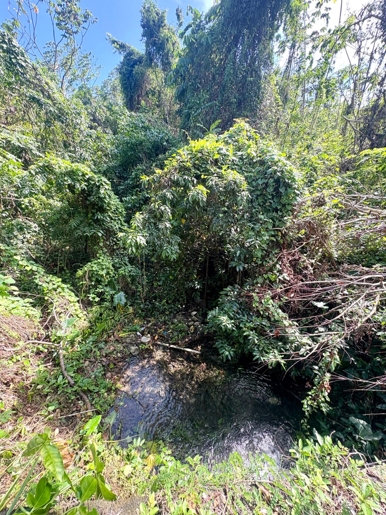 35-Acres-Development-Land-for-Sale-in-Hart-Hill-Portland-Jamaica Ninth image of 3-7 Hart Hill in Port Antonio, Portland, Jamaica - property is For Sale