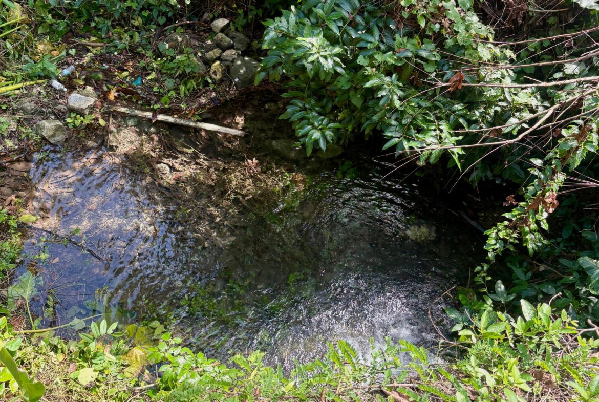 Tenth image of 3-7 Hart Hill in Port Antonio, Portland, Jamaica - property is For Sale