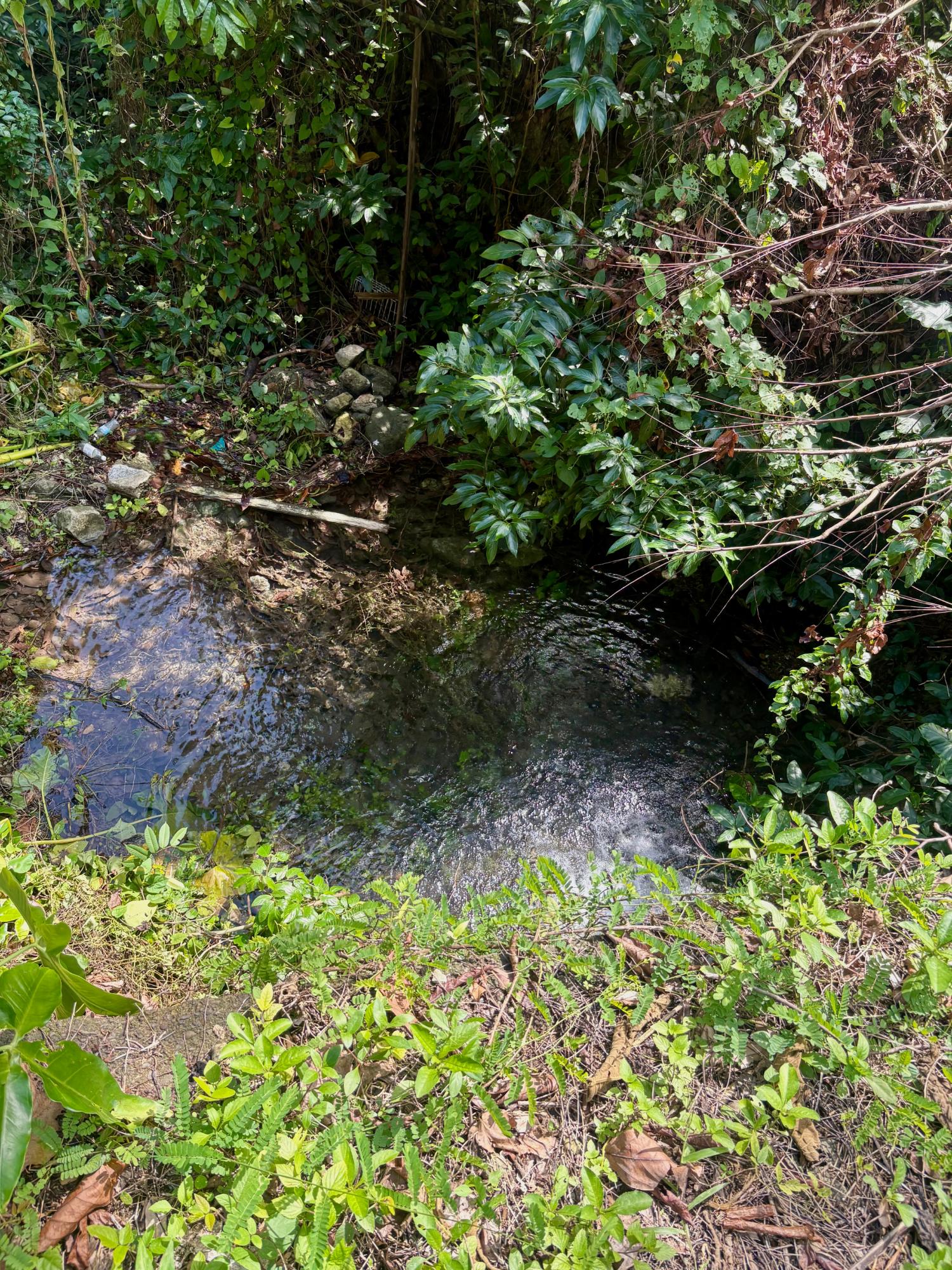 35-Acres-Development-Land-for-Sale-in-Hart-Hill-Portland-Jamaica Tenth image of 3-7 Hart Hill in Port Antonio, Portland, Jamaica - property is For Sale