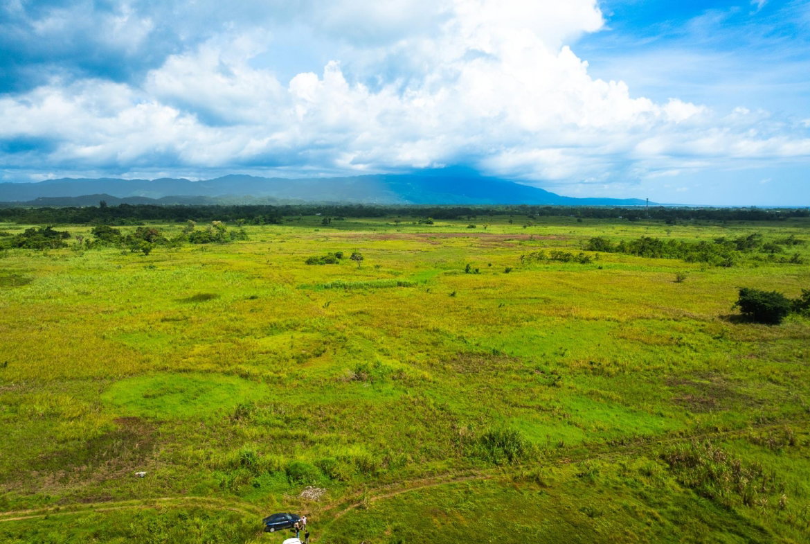 Second image of Lot 8b- Bath Pen in SAVANNA LA MAR, Westmoreland, Jamaica - property is For Sale