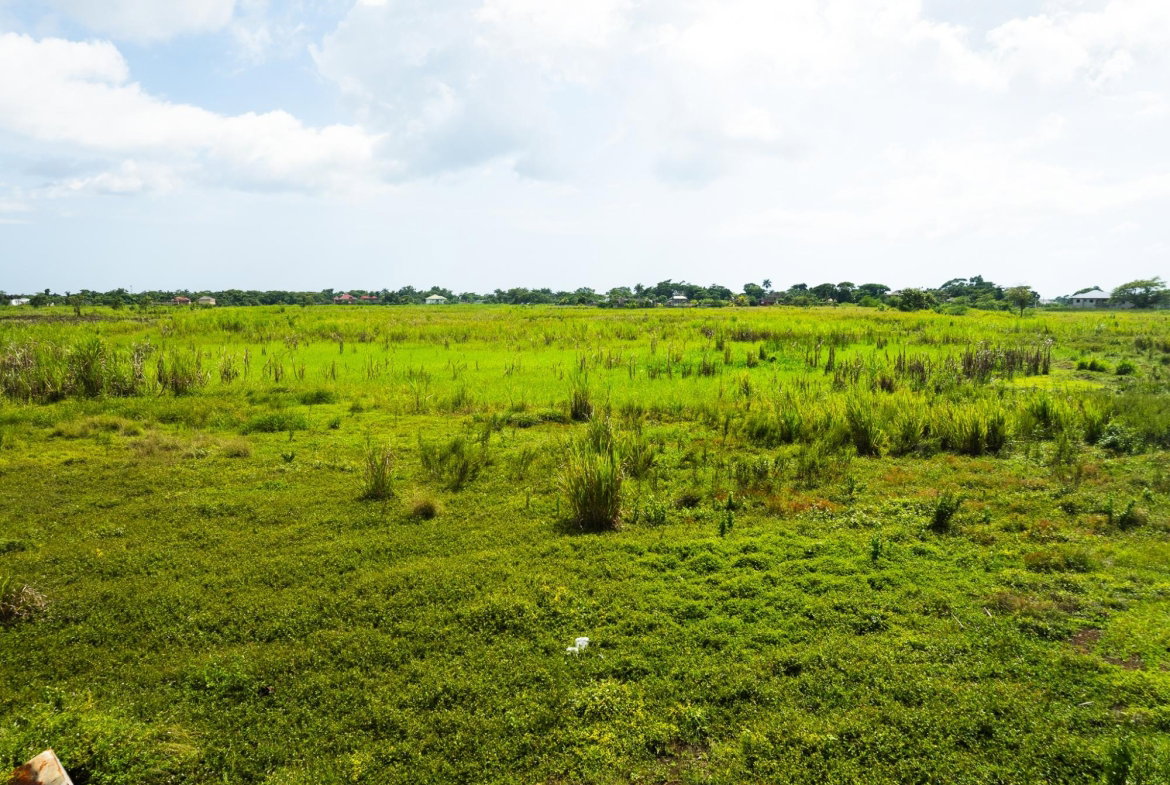 Third image of Lot 8b- Bath Pen in SAVANNA LA MAR, Westmoreland, Jamaica - property is For Sale