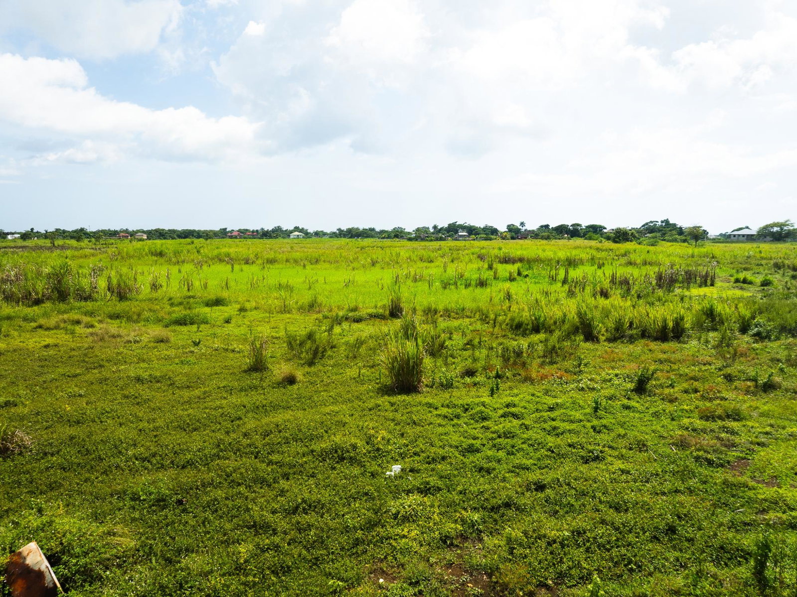 Third image of Lot 8b- Bath Pen in SAVANNA LA MAR, Westmoreland, Jamaica - property is For Sale