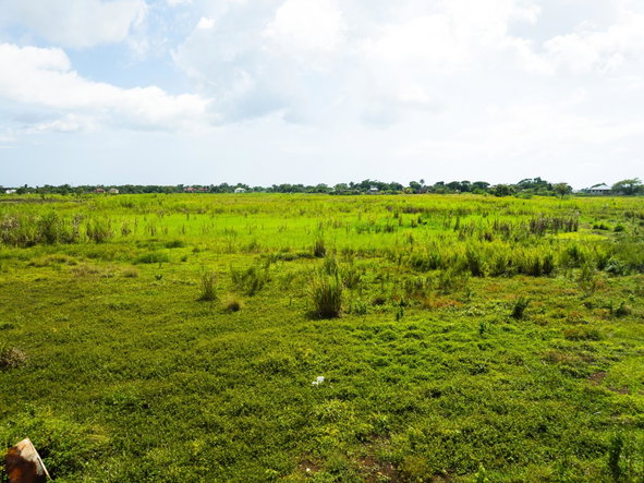 Third image of Lot 8b- Bath Pen in SAVANNA LA MAR, Westmoreland, Jamaica - property is For Sale