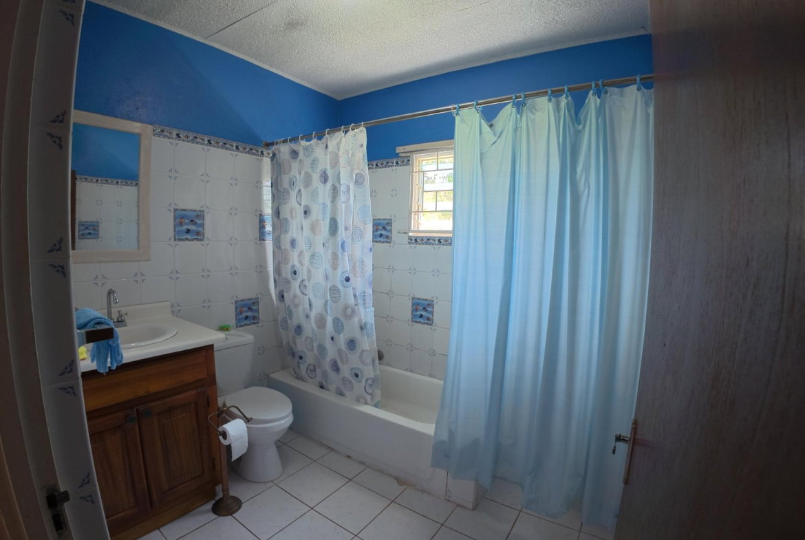 Thirteenth image of Lot 3- Dalkeith Road Knock Patri in Mandeville, Manchester, Jamaica - property is For Sale