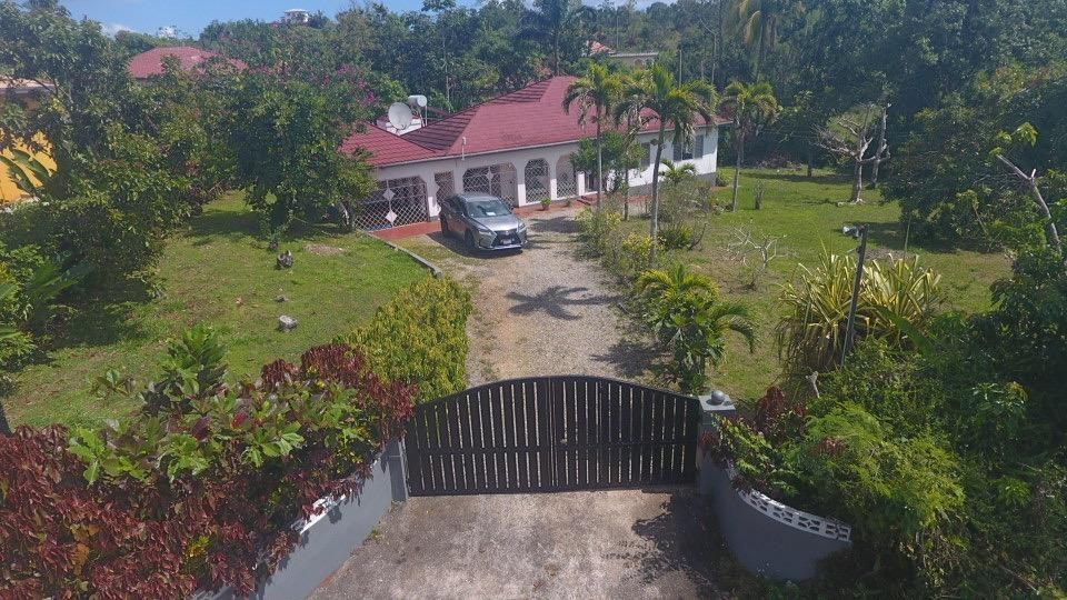 Twenty-Sixth image of Lot 3- Dalkeith Road Knock Patri in Mandeville, Manchester, Jamaica - property is For Sale