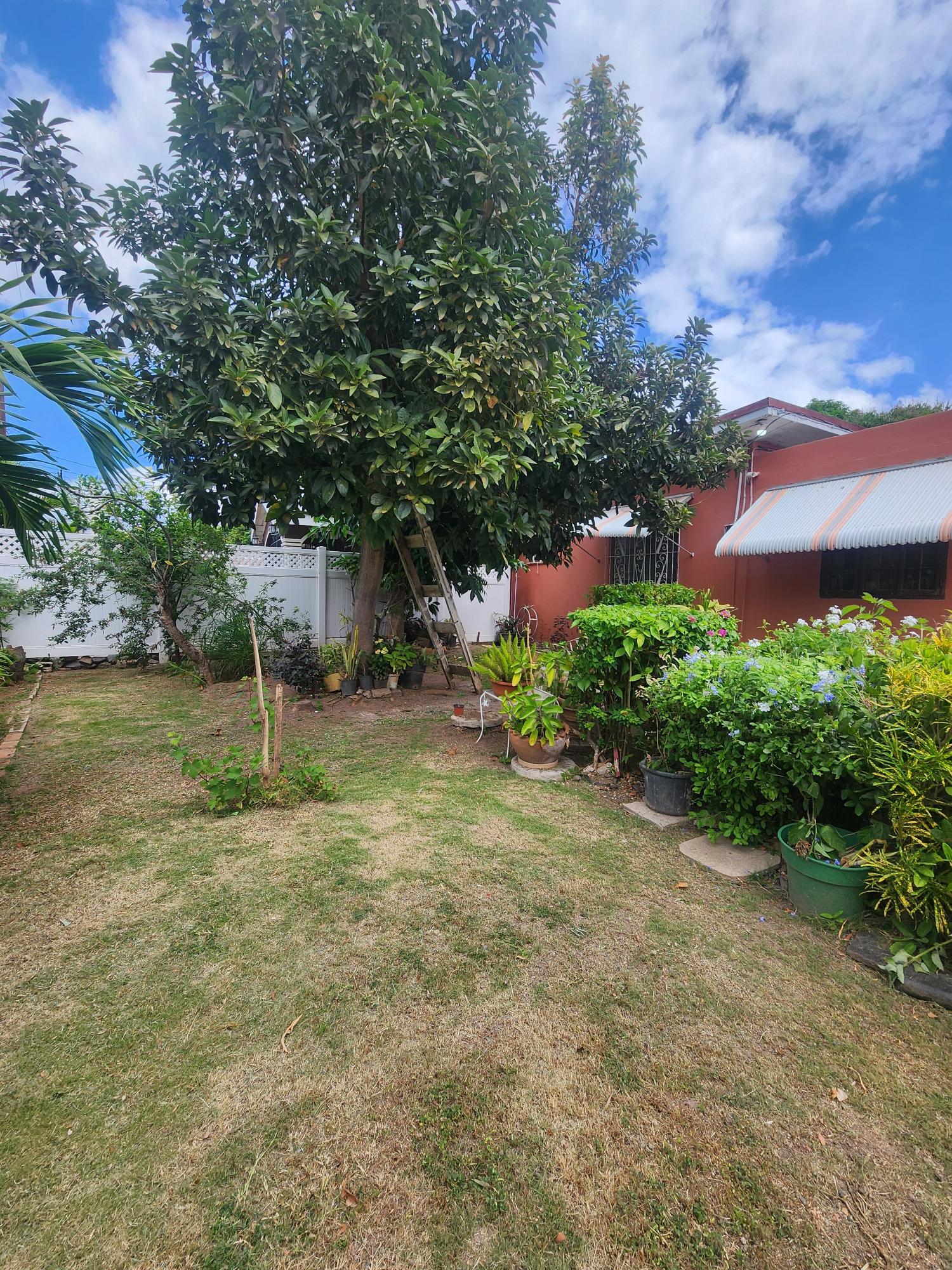 Fourth image of 6 Brynmawr Road in Kingston 8, St. Andrew, Jamaica - property is For Rent
