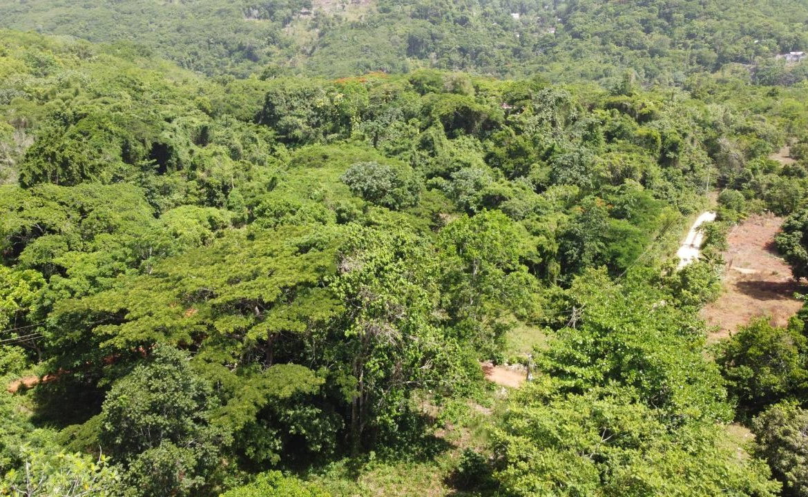 Eleventh image of Retirement in Discovery Bay, St. Ann, Jamaica - property is For Sale