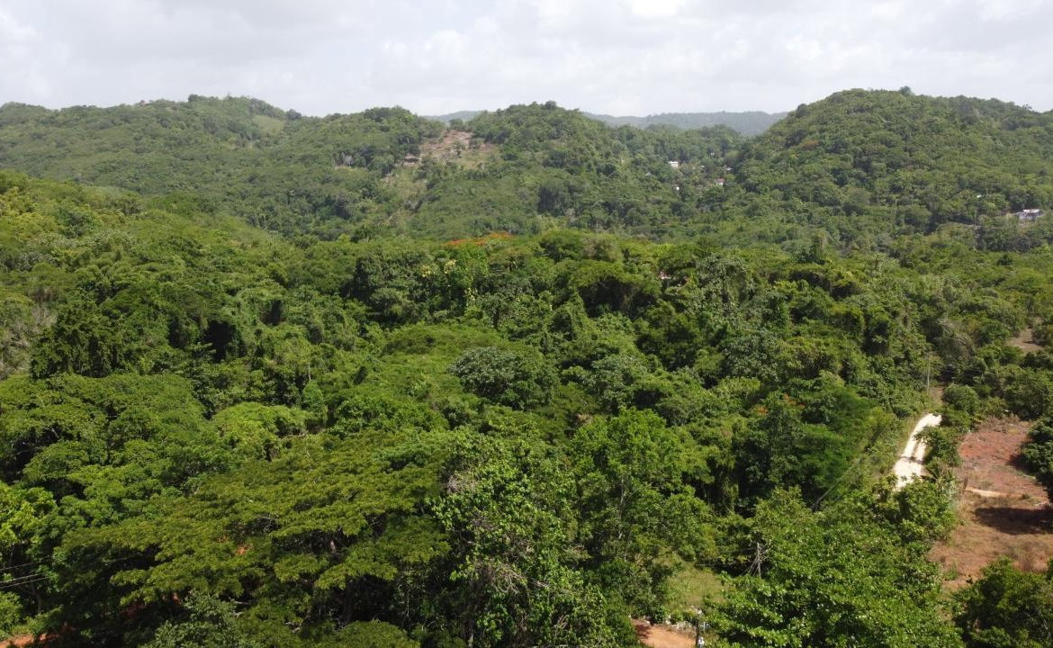 Twelfth image of Retirement in Discovery Bay, St. Ann, Jamaica - property is For Sale