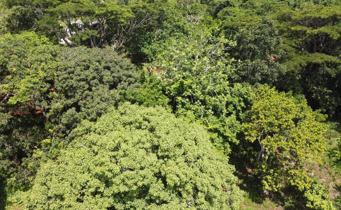 Thirteenth image of Retirement in Discovery Bay, St. Ann, Jamaica - property is For Sale