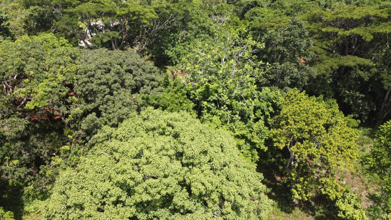 Thirteenth image of Retirement in Discovery Bay, St. Ann, Jamaica - property is For Sale