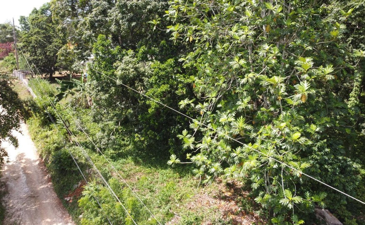 Fifth image of Retirement in Discovery Bay, St. Ann, Jamaica - property is For Sale