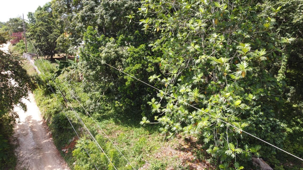 Fifth image of Retirement in Discovery Bay, St. Ann, Jamaica - property is For Sale