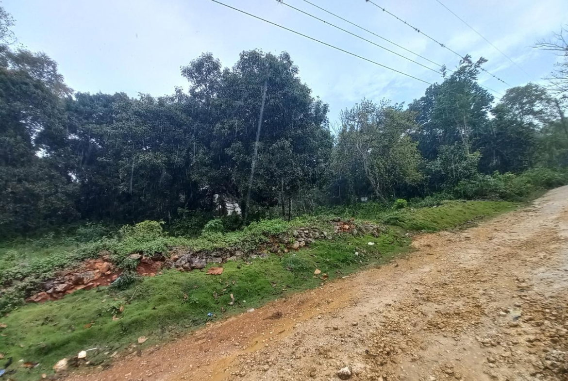 Eighth image of Retirement in Discovery Bay, St. Ann, Jamaica - property is For Sale