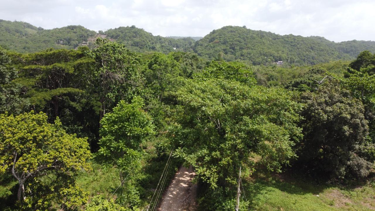 Tenth image of Retirement in Discovery Bay, St. Ann, Jamaica - property is For Sale