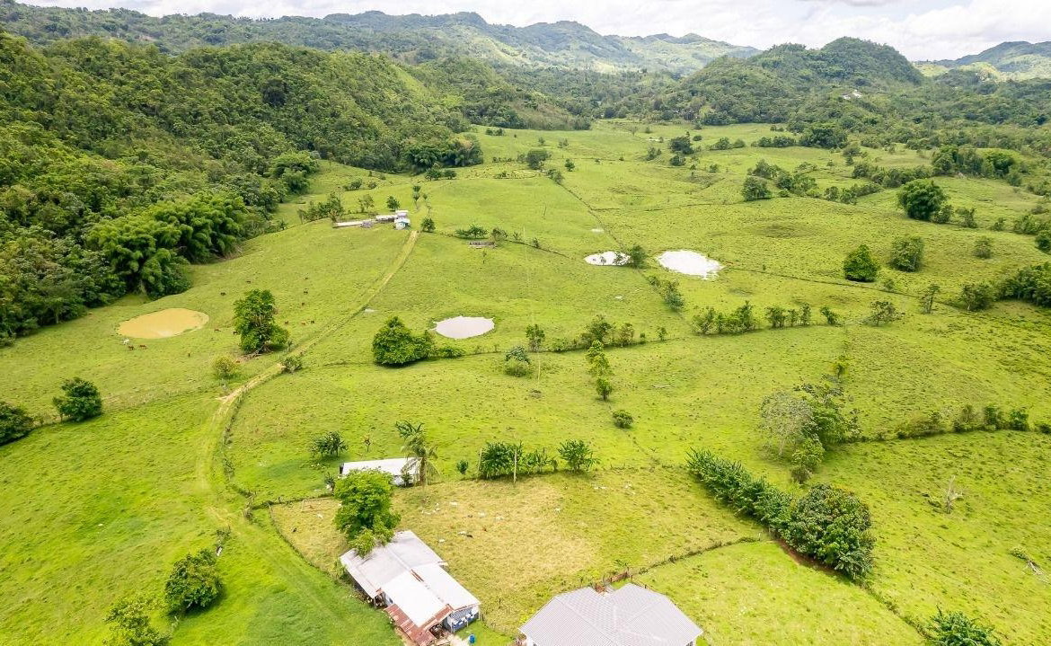 First image of Enfield, Westmoreland in Enfield, Westmoreland, Jamaica - property is For Sale