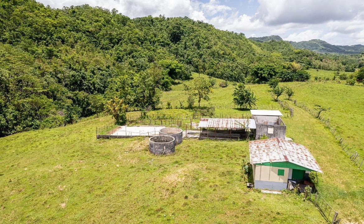 Fourth image of Enfield, Westmoreland in Enfield, Westmoreland, Jamaica - property is For Sale