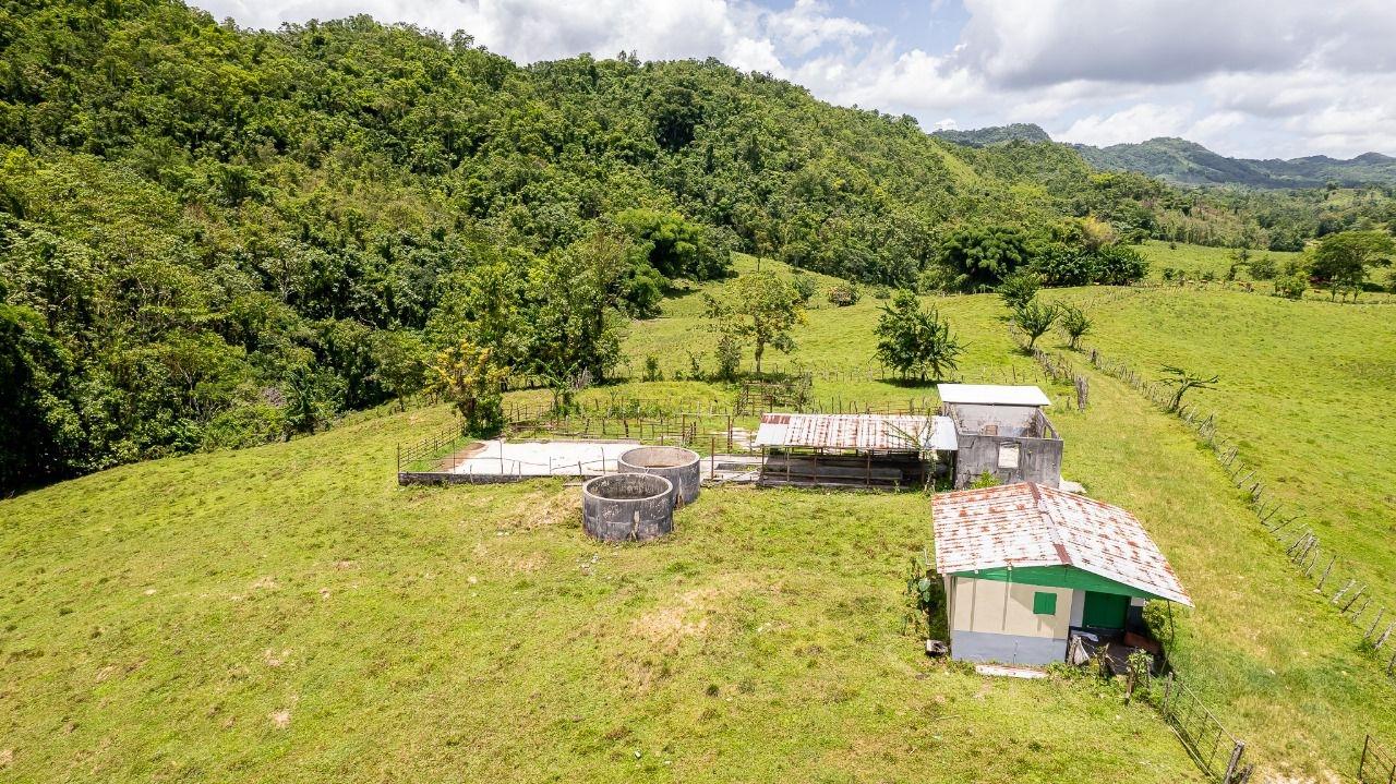 Fourth image of Enfield, Westmoreland in Enfield, Westmoreland, Jamaica - property is For Sale