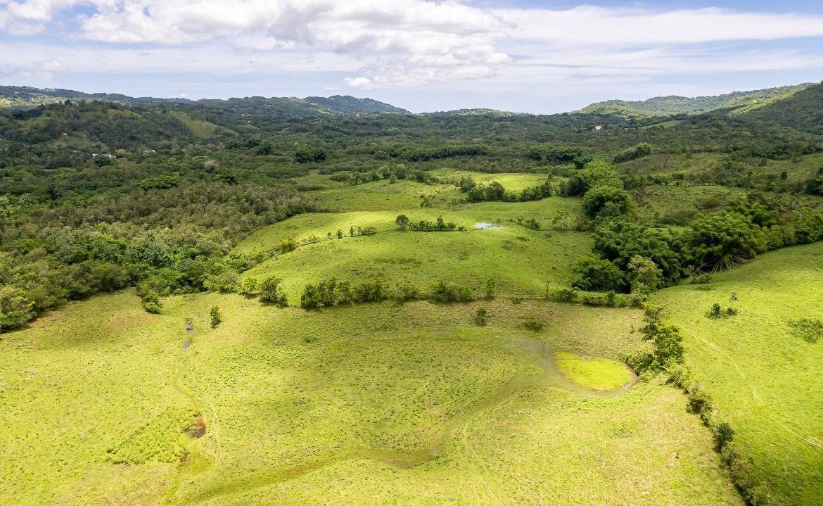 Sixth image of Enfield, Westmoreland in Enfield, Westmoreland, Jamaica - property is For Sale