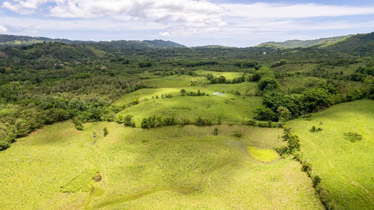 Sixth image of Enfield, Westmoreland in Enfield, Westmoreland, Jamaica - property is For Sale