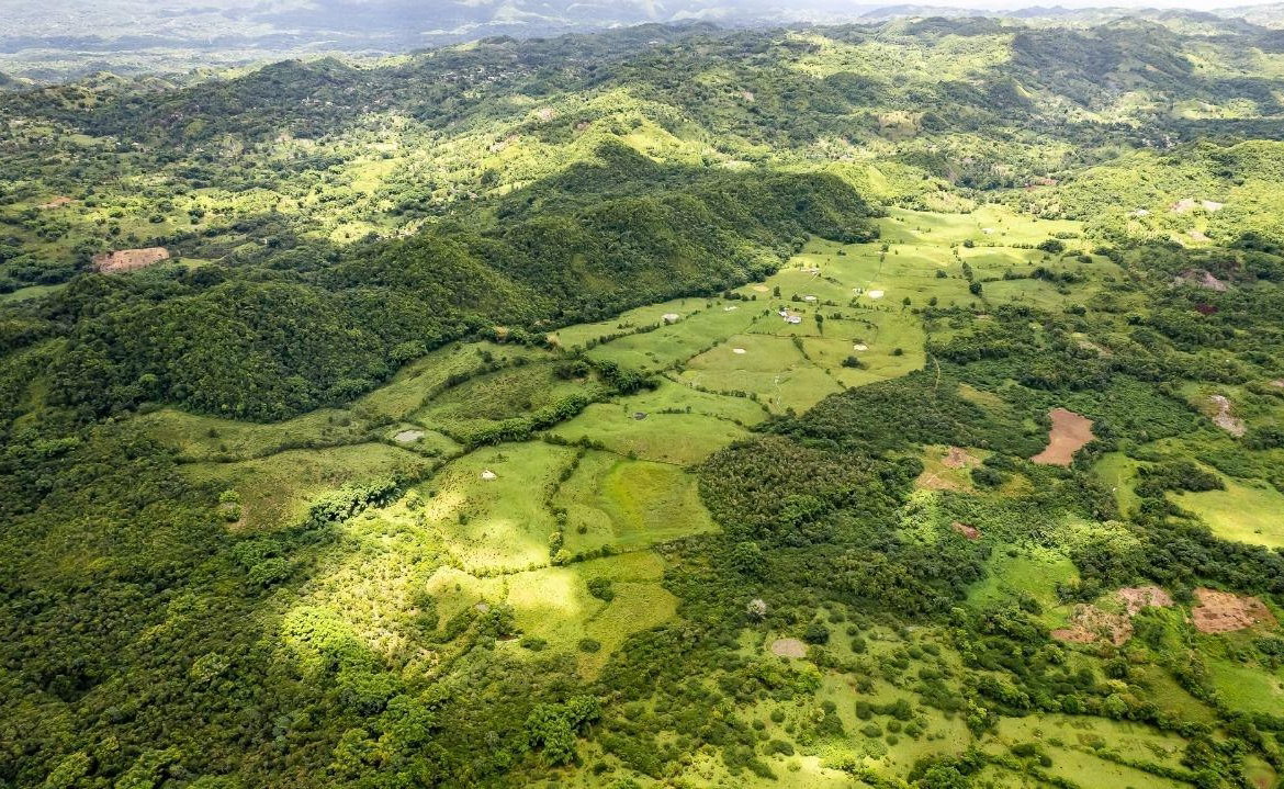 Seventh image of Enfield, Westmoreland in Enfield, Westmoreland, Jamaica - property is For Sale