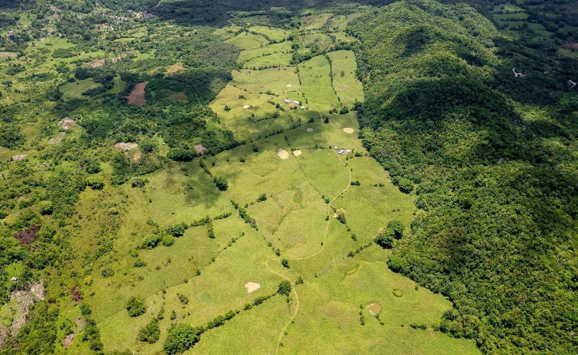 Eighth image of Enfield, Westmoreland in Enfield, Westmoreland, Jamaica - property is For Sale