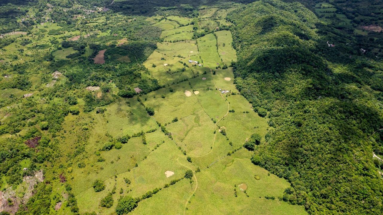 Eighth image of Enfield, Westmoreland in Enfield, Westmoreland, Jamaica - property is For Sale