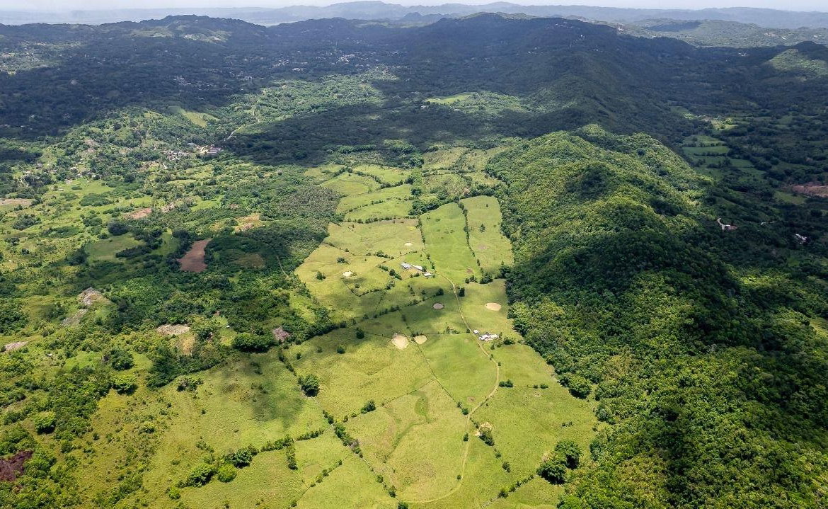 Ninth image of Enfield, Westmoreland in Enfield, Westmoreland, Jamaica - property is For Sale