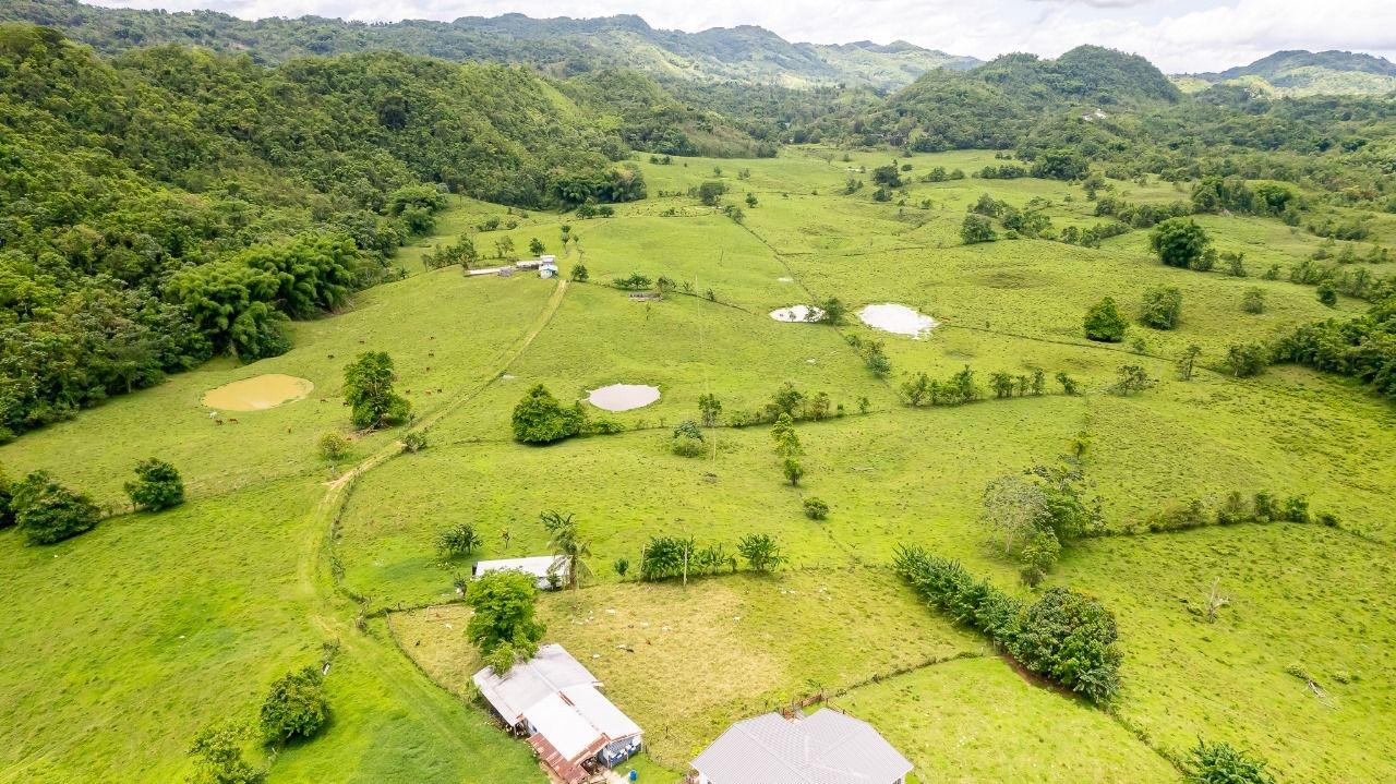 First image of Enfield, Westmoreland in Enfield, Westmoreland, Jamaica - property is For Sale