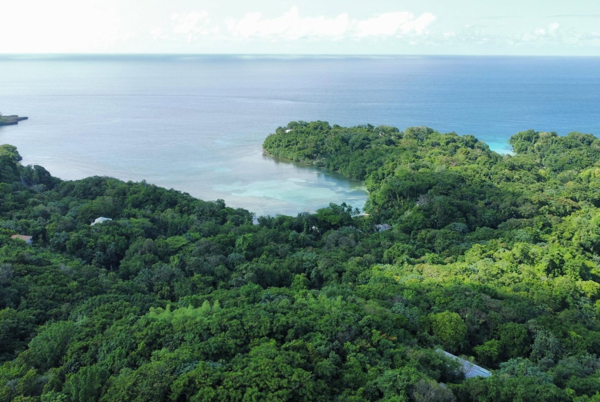 Second image of Lot 177- New Pond Road, San San in SAN SAN, Portland, Jamaica - property is For Sale