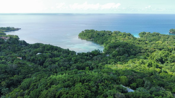 Second image of Lot 177- New Pond Road, San San in SAN SAN, Portland, Jamaica - property is For Sale