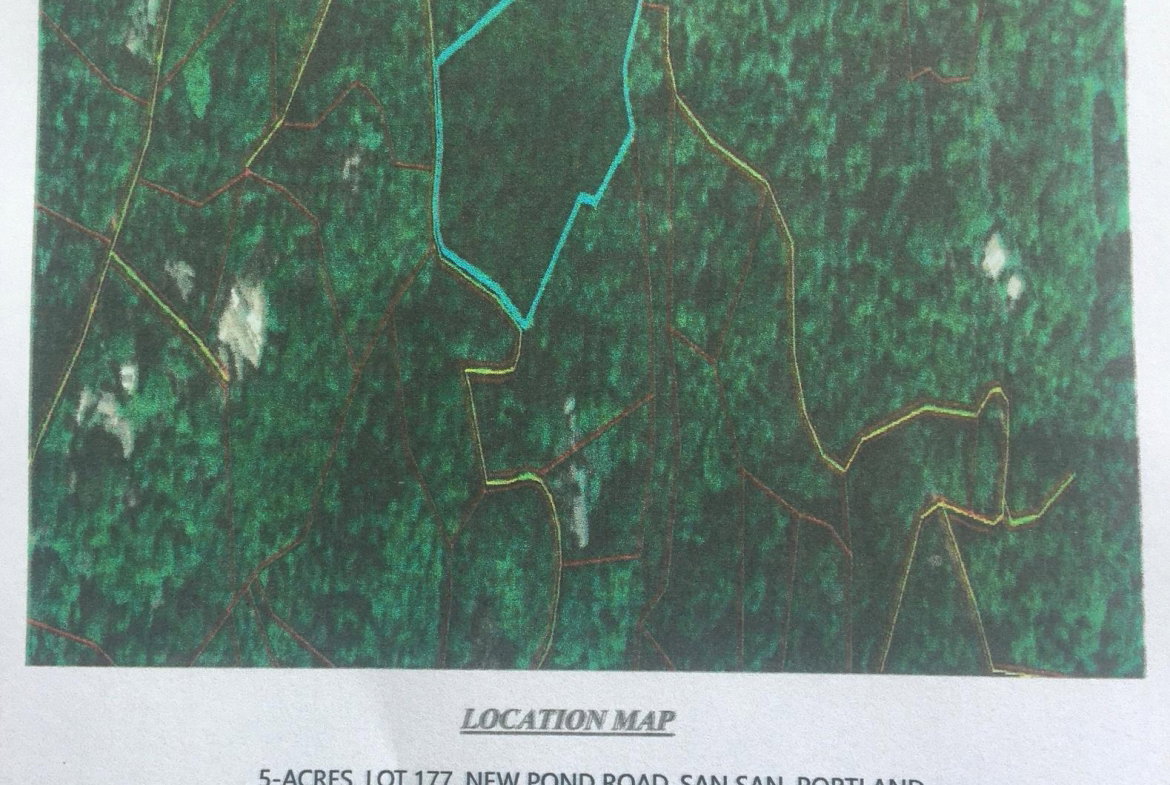 First image of Lot 177- New Pond Road, San San in SAN SAN, Portland, Jamaica - property is For Sale