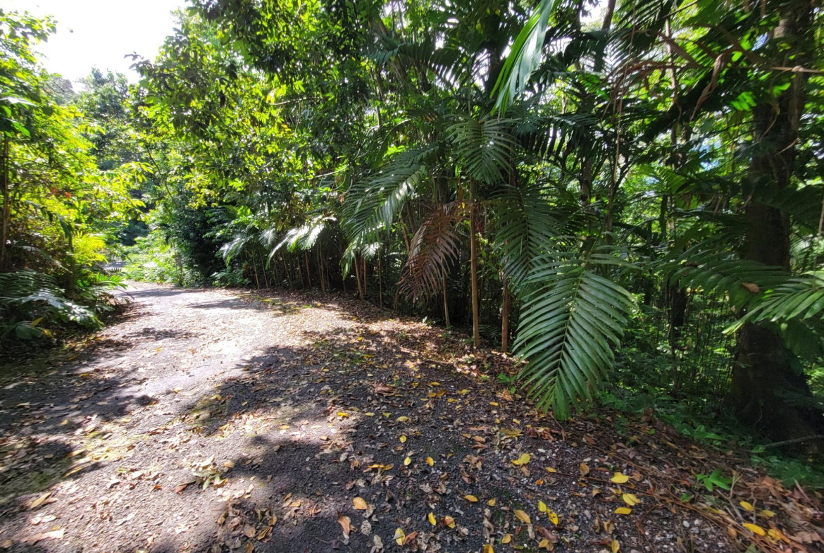 Third image of Lot 177- New Pond Road, San San in SAN SAN, Portland, Jamaica - property is For Sale