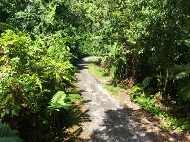Fourth image of Lot 177- New Pond Road, San San in SAN SAN, Portland, Jamaica - property is For Sale