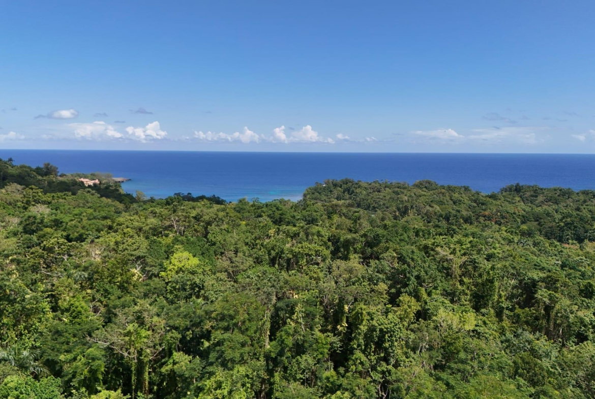 Sixth image of Lot 177- New Pond Road, San San in SAN SAN, Portland, Jamaica - property is For Sale