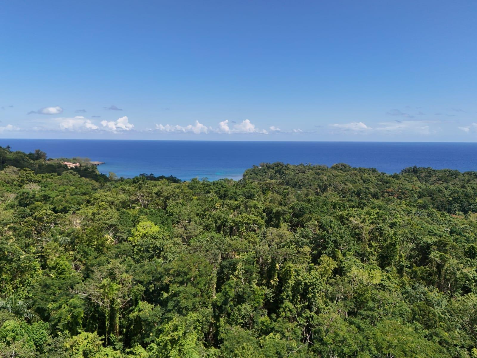 5-Acre-Development-Land-for-Sale-in-San-San-Portland-Jamaica Sixth image of Lot 177- New Pond Road, San San in SAN SAN, Portland, Jamaica - property is For Sale