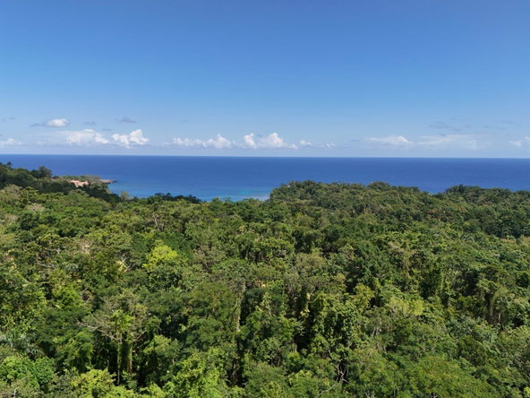Sixth image of Lot 177- New Pond Road, San San in SAN SAN, Portland, Jamaica - property is For Sale