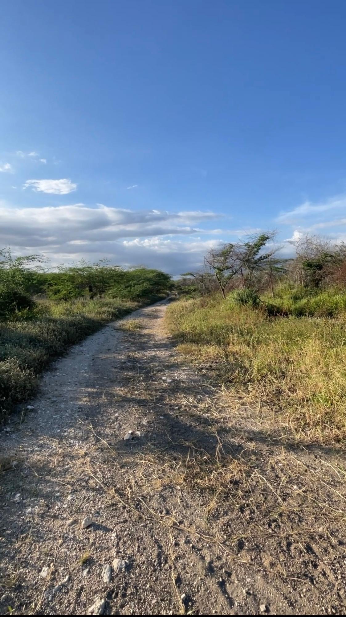 5-Acre-Fertile-Residential-Lot-for-Sale-in-Hartland-St.-Catherine-Jamaica Second image of Hartland in Spanish Town, St. Catherine, Jamaica - property is For Sale