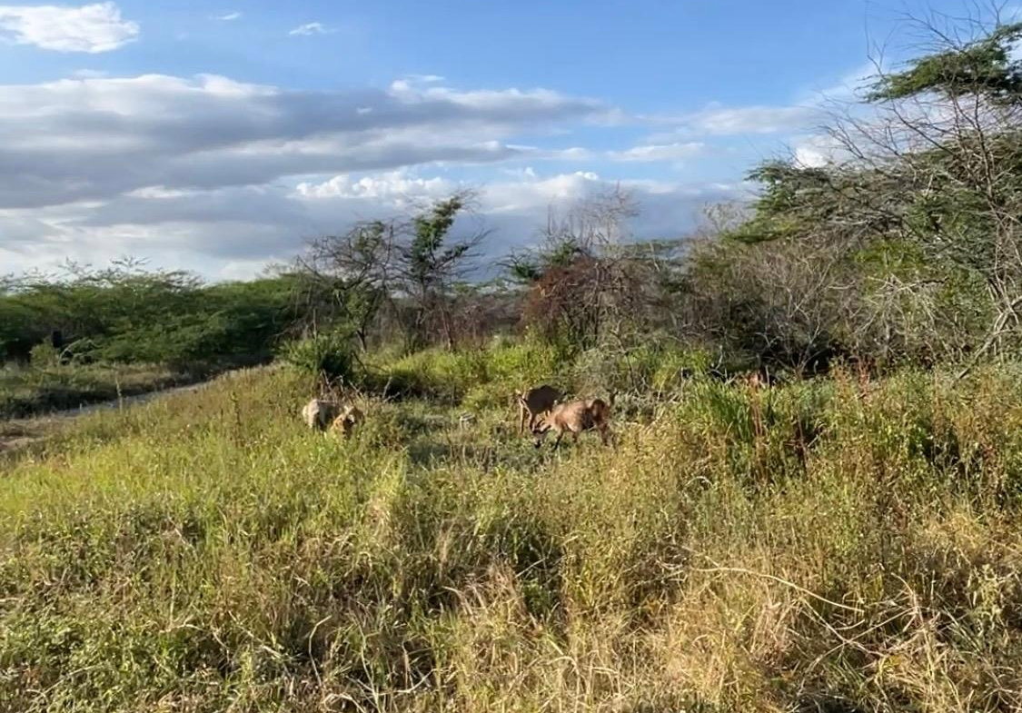 First image of Hartland in Spanish Town, St. Catherine, Jamaica - property is For Sale