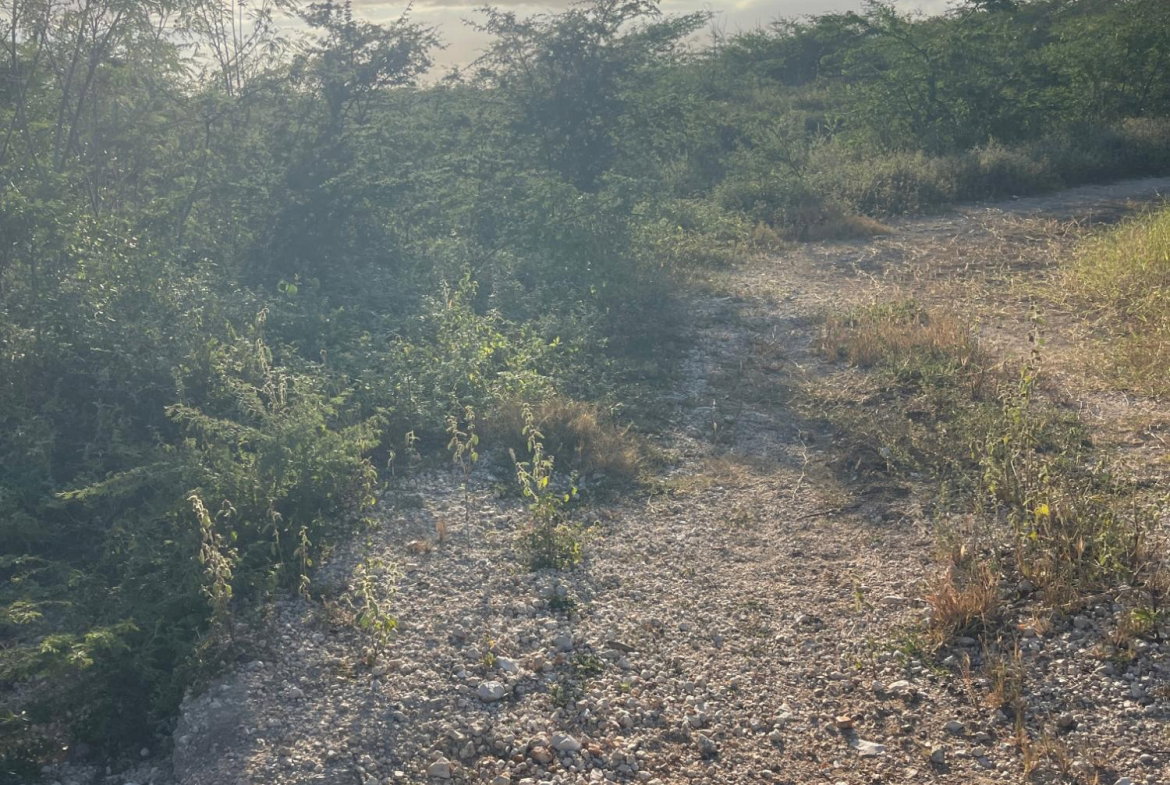 Third image of Hartland in Spanish Town, St. Catherine, Jamaica - property is For Sale