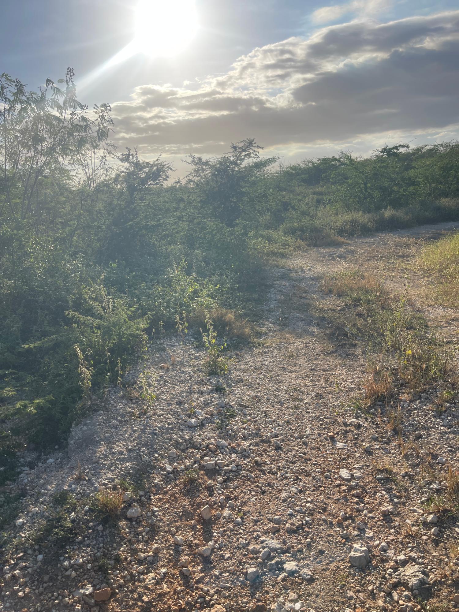 5-Acre-Fertile-Residential-Lot-for-Sale-in-Hartland-St.-Catherine-Jamaica Third image of Hartland in Spanish Town, St. Catherine, Jamaica - property is For Sale