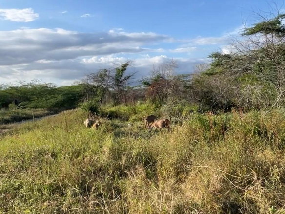 First image of Hartland in Spanish Town, St. Catherine, Jamaica - property is For Sale
