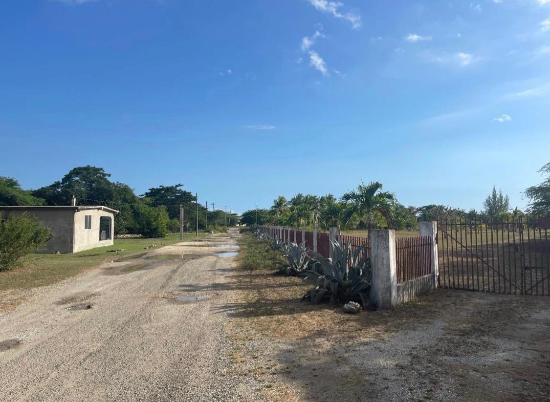 5-Acre-Fertile-Residential-Lot-for-Sale-in-Hartland-St.-Catherine-Jamaica Seventh image of Hartland in Spanish Town, St. Catherine, Jamaica - property is For Sale