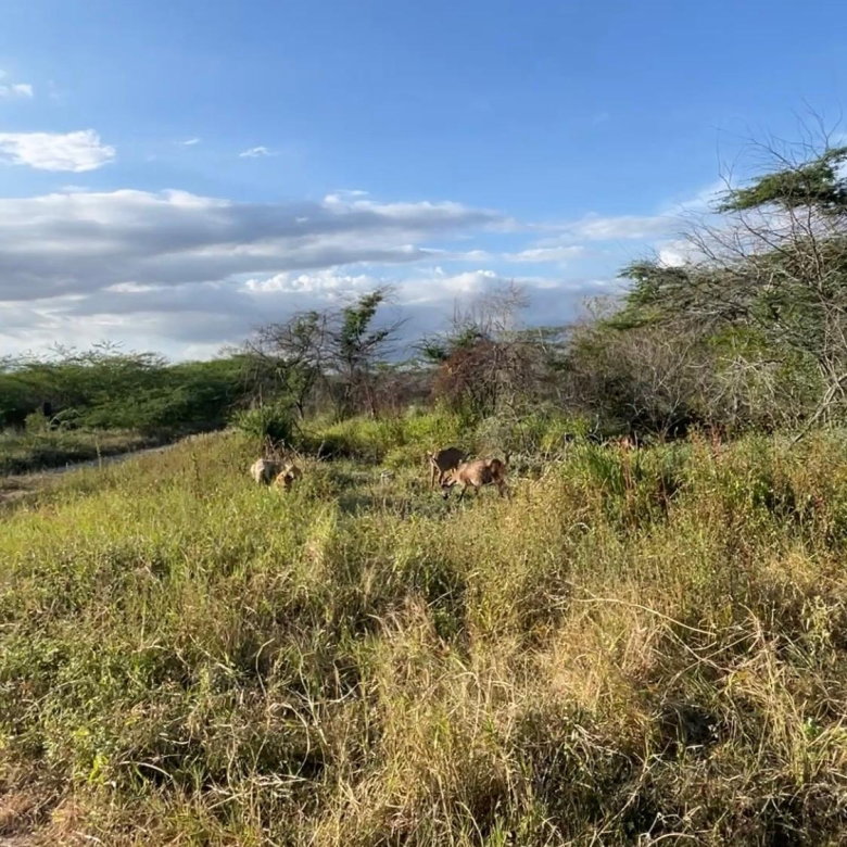 First image of Hartland in Spanish Town, St. Catherine, Jamaica - property is For Sale