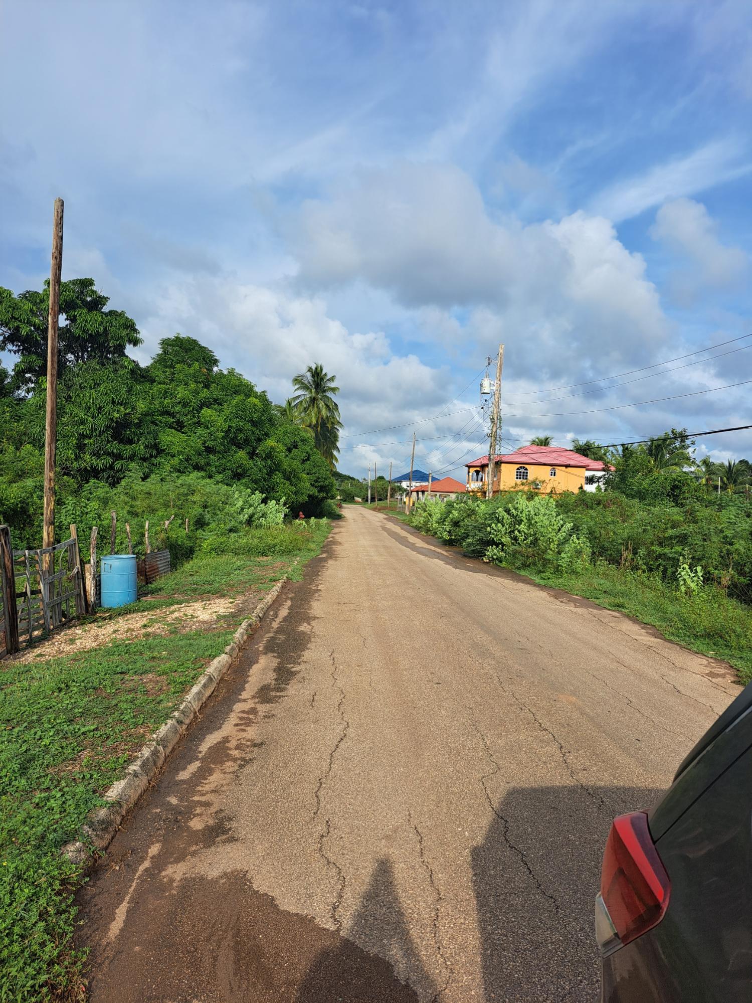 5-Acre-Residential-Development-Land-for-Sale-in-Halse-Hall-Clarendon-Jamaica Fourth image of Dahlia Close, Halse Hall, in Halse Hall, Clarendon, Jamaica - property is For Sale