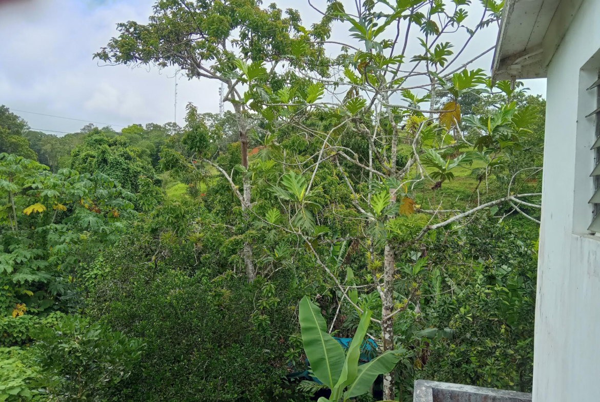 Seventeenth image of Arabia Felix, Bamboo in Bamboo, St. Ann, Jamaica - property is For Sale