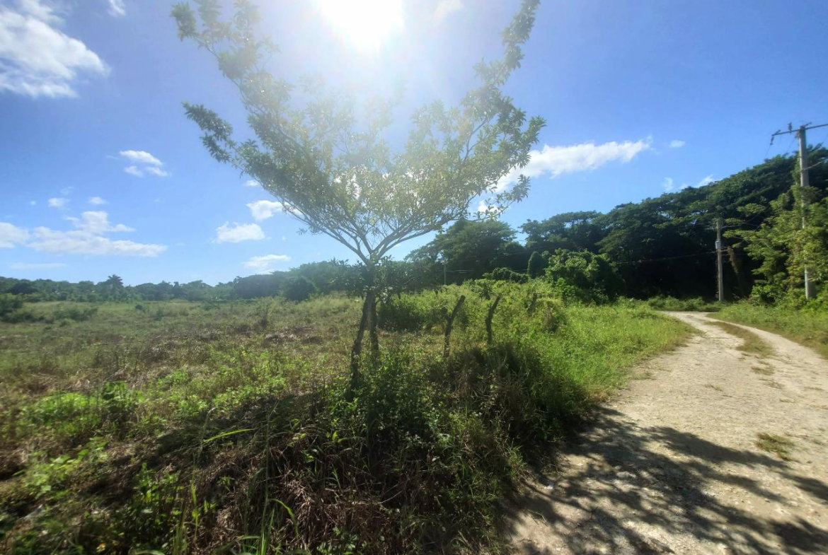 Second image of 9 Sweet River in Savanna-La-Mar, Westmoreland, Jamaica - property is For Sale