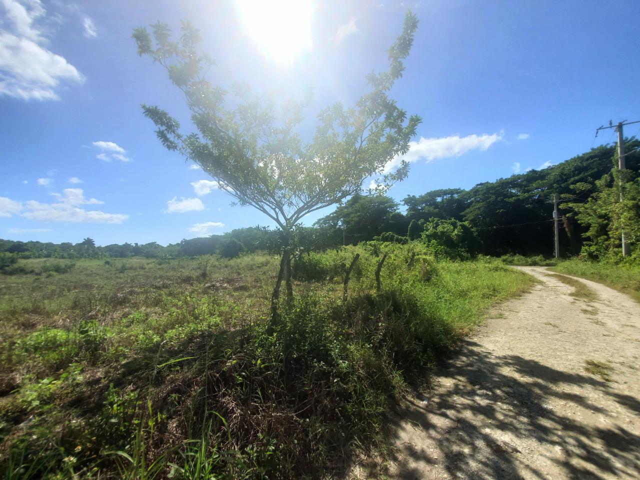 5.11-Acre-Riverfront-and-Mountain-View-Land-for-Sale-in-Sweet-River-Westmoreland-Jamaica Second image of 9 Sweet River in Savanna-La-Mar, Westmoreland, Jamaica - property is For Sale