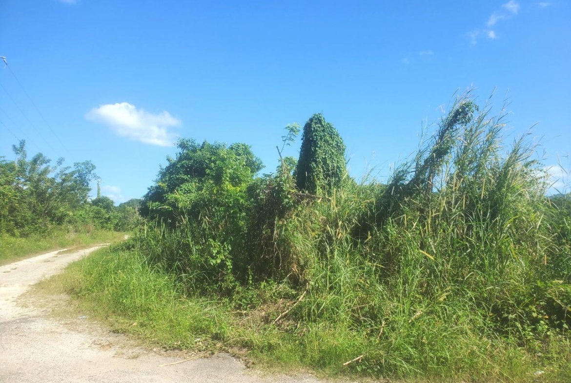 Eleventh image of 9 Sweet River in Savanna-La-Mar, Westmoreland, Jamaica - property is For Sale