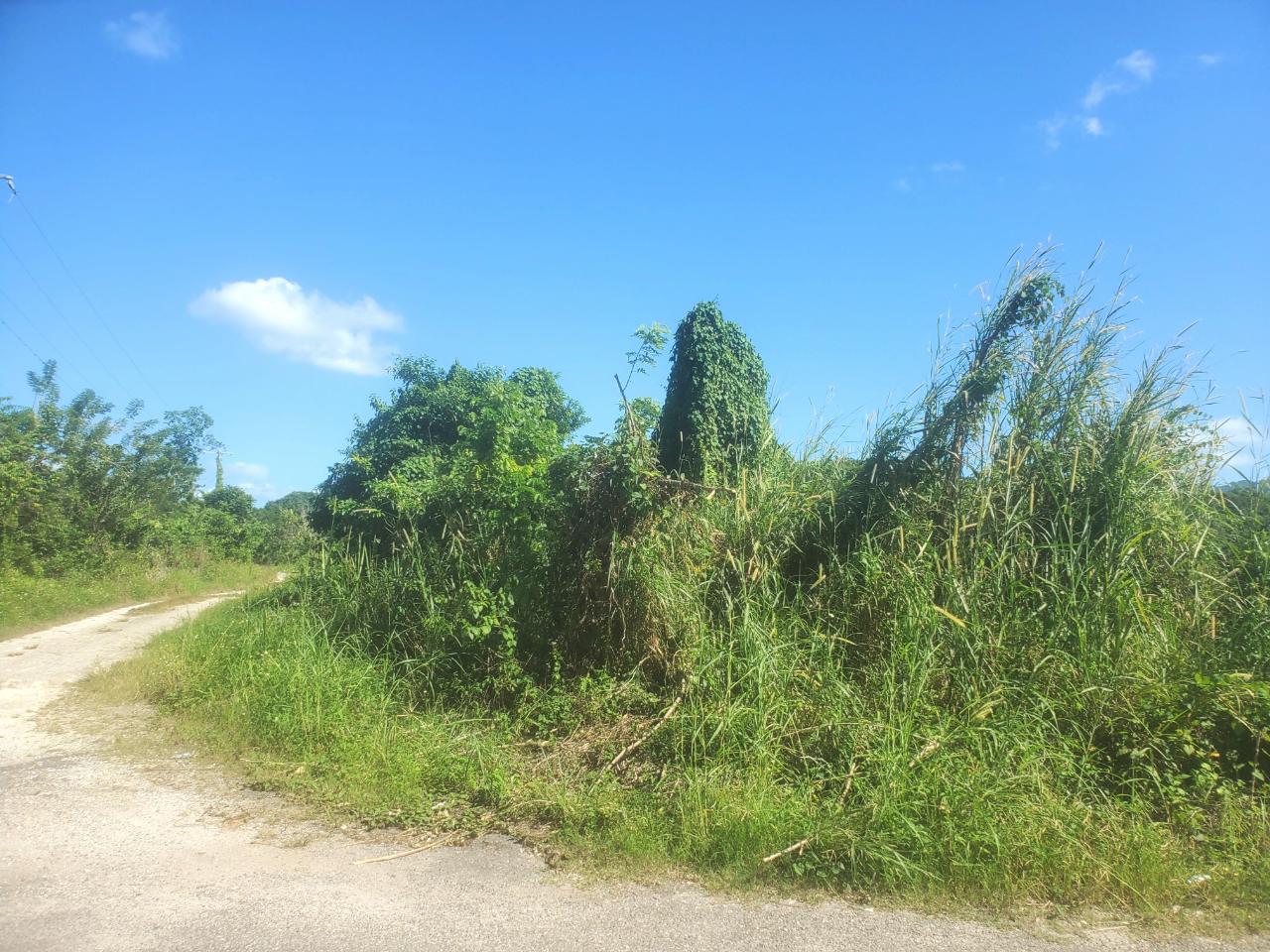 5.11-Acre-Riverfront-and-Mountain-View-Land-for-Sale-in-Sweet-River-Westmoreland-Jamaica Eleventh image of 9 Sweet River in Savanna-La-Mar, Westmoreland, Jamaica - property is For Sale