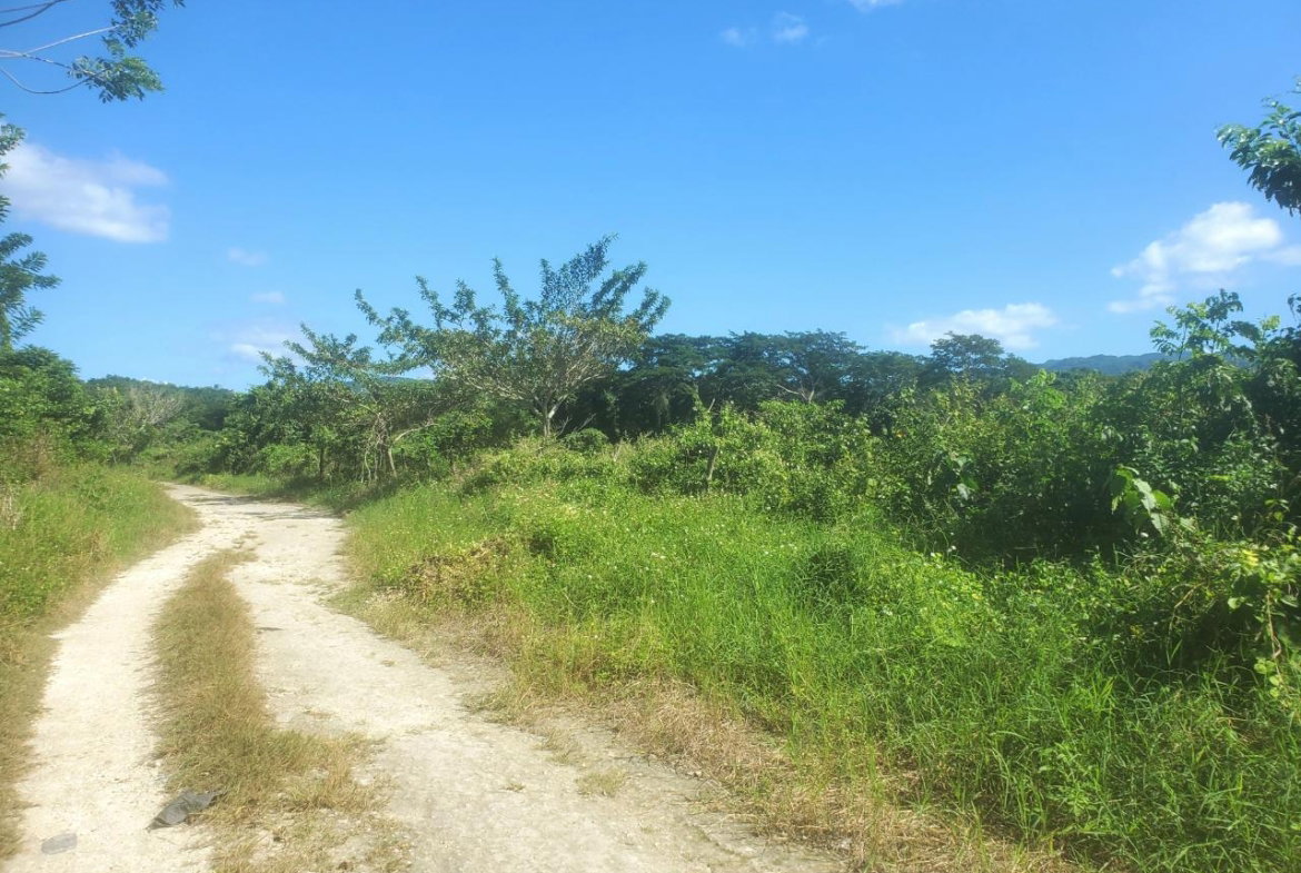 Twelfth image of 9 Sweet River in Savanna-La-Mar, Westmoreland, Jamaica - property is For Sale